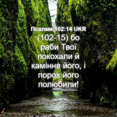 Picture 04 - Псалми 102:14 UKR - (102-15) бо раби Твої покохали - Bible Verse Picture