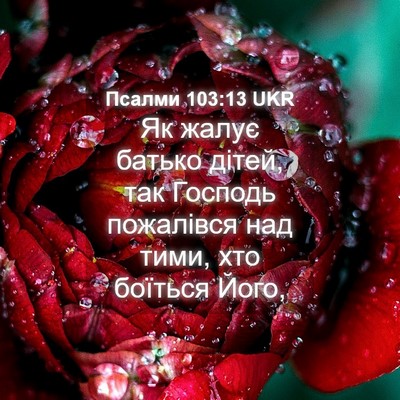 Picture 04 - Псалми 103:13 UKR - Як жалує батько дітей, так - Bible Verse Picture