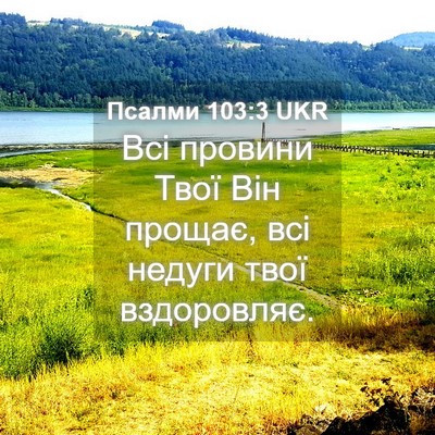 Picture 04 - Псалми 103:3 UKR - Всі провини Твої Він - Bible Verse Picture
