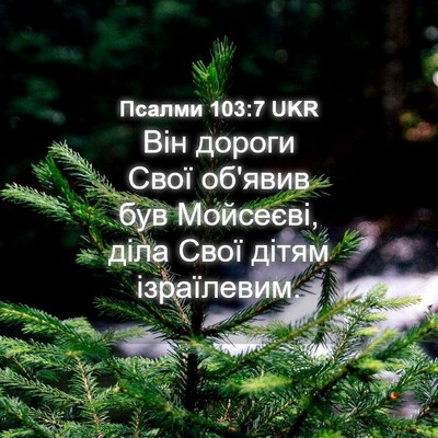 Picture 04 - Псалми 103:7 UKR - Він дороги Свої об'явив був - Bible Verse Picture
