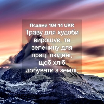 Picture 04 - Псалми 104:14 UKR - Траву для худоби вирощує, - Bible Verse Picture