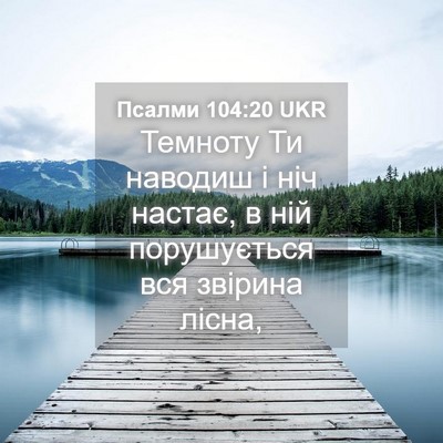 Picture 04 - Псалми 104:20 UKR - Темноту Ти наводиш і ніч - Bible Verse Picture
