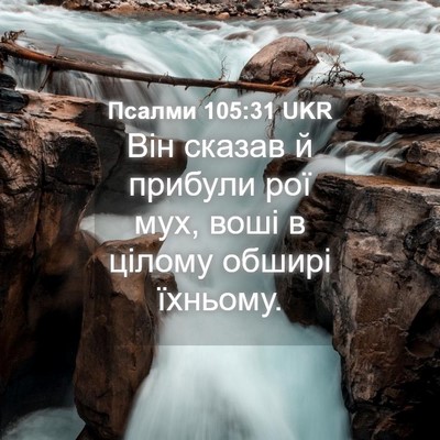 Picture 04 - Псалми 105:31 UKR - Він сказав й прибули рої - Bible Verse Picture