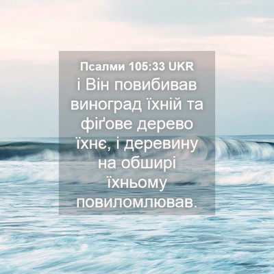 Picture 04 - Псалми 105:33 UKR - і Він повибивав виноград - Bible Verse Picture