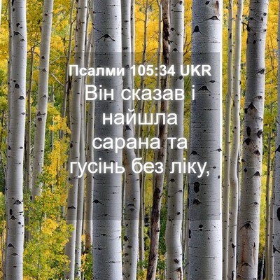 Picture 04 - Псалми 105:34 UKR - Він сказав і найшла сарана - Bible Verse Picture