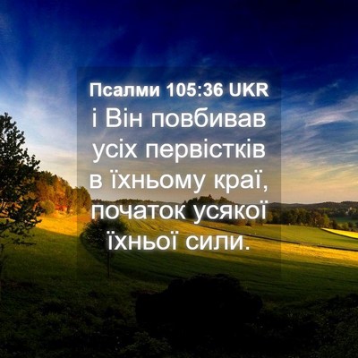 Picture 04 - Псалми 105:36 UKR - і Він повбивав усіх - Bible Verse Picture