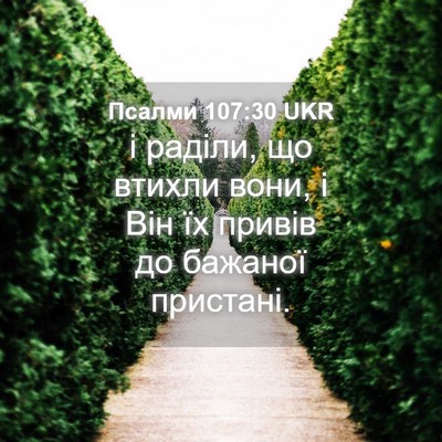 Picture 04 - Псалми 107:30 UKR - і раділи, що втихли вони, і - Bible Verse Picture