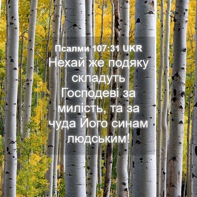 Picture 04 - Псалми 107:31 UKR - Нехай же подяку складуть - Bible Verse Picture
