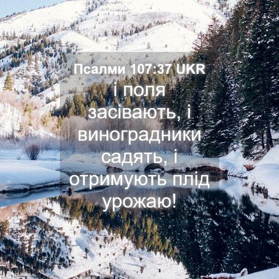 Picture 04 - Псалми 107:37 UKR - і поля засівають, і - Bible Verse Picture