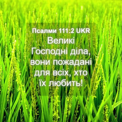 Picture 04 - Псалми 111:2 UKR - Великі Господні діла, вони - Bible Verse Picture
