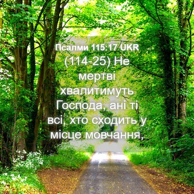 Picture 04 - Псалми 115:17 UKR - (114-25) Не мертві хвалитимуть - Bible Verse Picture