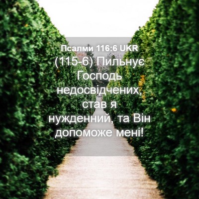 Picture 04 - Псалми 116:6 UKR - (115-6) Пильнує Господь - Bible Verse Picture