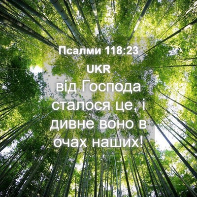 Picture 04 - Псалми 118:23 UKR - від Господа сталося це, і - Bible Verse Picture