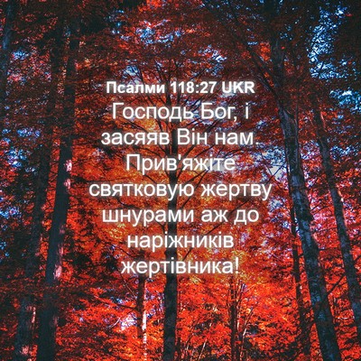 Picture 04 - Псалми 118:27 UKR - Господь Бог, і засяяв Він - Bible Verse Picture