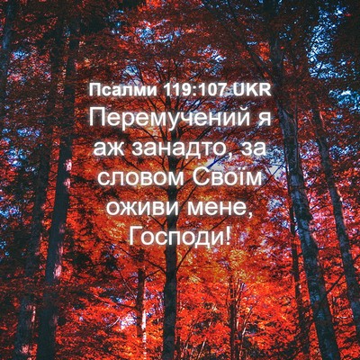 Picture 04 - Псалми 119:107 UKR - Перемучений я аж занадто, - Bible Verse Picture