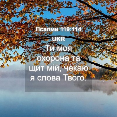 Picture 04 - Псалми 119:114 UKR - Ти моя охорона та щит мій, - Bible Verse Picture