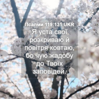 Picture 04 - Псалми 119:131 UKR - Я уста свої розкриваю й - Bible Verse Picture