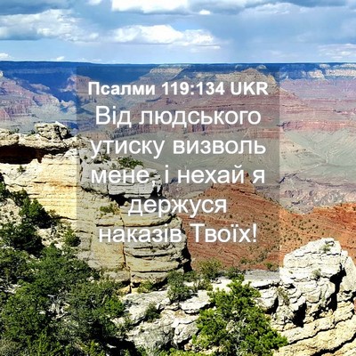 Picture 04 - Псалми 119:134 UKR - Від людського утиску - Bible Verse Picture