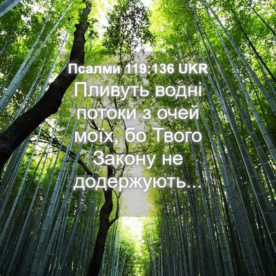 Picture 04 - Псалми 119:136 UKR - Пливуть водні потоки з - Bible Verse Picture