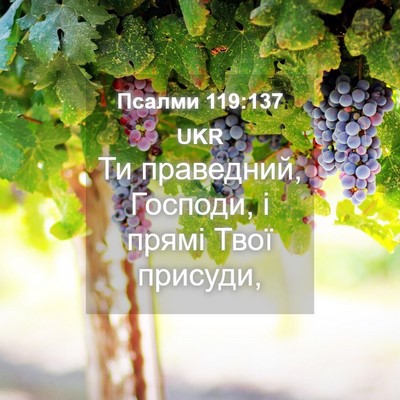 Picture 04 - Псалми 119:137 UKR - Ти праведний, Господи, і - Bible Verse Picture