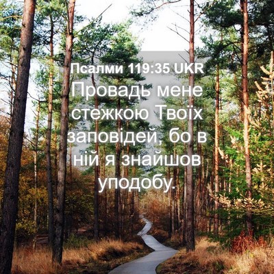 Picture 04 - Псалми 119:35 UKR - Провадь мене стежкою Твоїх - Bible Verse Picture
