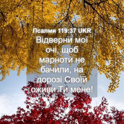 Picture 04 - Псалми 119:37 UKR - Відверни мої очі, щоб - Bible Verse Picture