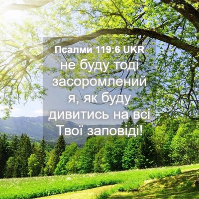 Picture 04 - Псалми 119:6 UKR - не буду тоді засоромлений - Bible Verse Picture