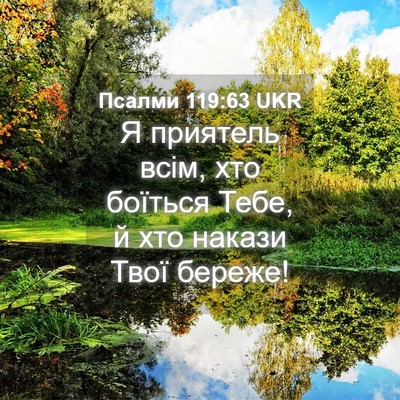 Picture 04 - Псалми 119:63 UKR - Я приятель всім, хто - Bible Verse Picture
