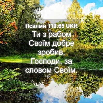 Picture 04 - Псалми 119:65 UKR - Ти з рабом Своїм добре - Bible Verse Picture