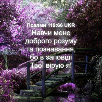 Picture 04 - Псалми 119:66 UKR - Навчи мене доброго розуму - Bible Verse Picture