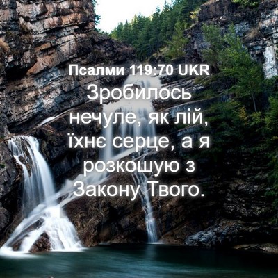 Picture 04 - Псалми 119:70 UKR - Зробилось нечуле, як лій, - Bible Verse Picture