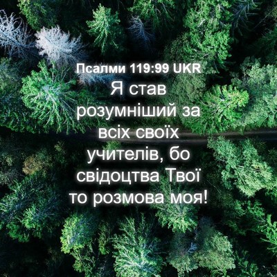 Picture 04 - Псалми 119:99 UKR - Я став розумніший за всіх - Bible Verse Picture
