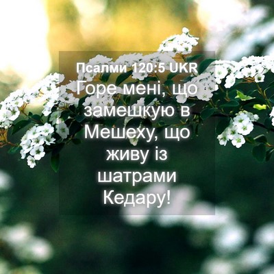 Picture 04 - Псалми 120:5 UKR - Горе мені, що замешкую в - Bible Verse Picture