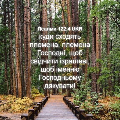 Picture 04 - Псалми 122:4 UKR - куди сходять племена, - Bible Verse Picture