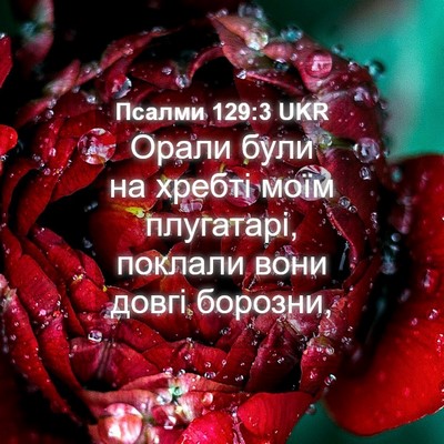 Picture 04 - Псалми 129:3 UKR - Орали були на хребті моїм - Bible Verse Picture
