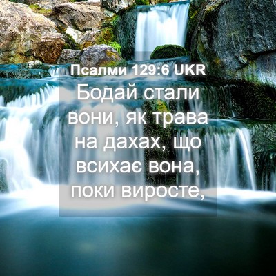 Picture 04 - Псалми 129:6 UKR - Бодай стали вони, як трава - Bible Verse Picture