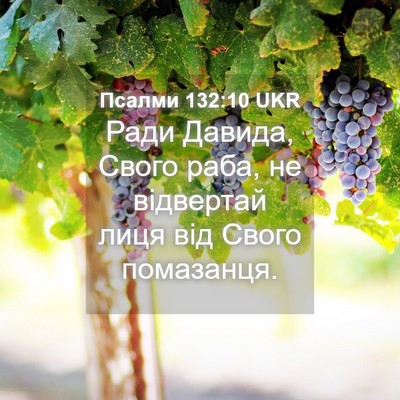 Picture 04 - Псалми 132:10 UKR - Ради Давида, Свого раба, не - Bible Verse Picture