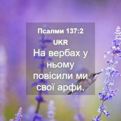 Picture 04 - Псалми 137:2 UKR - На вербах у ньому повісили - Bible Verse Picture