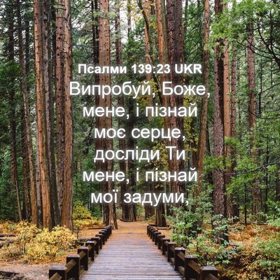 Picture 04 - Псалми 139:23 UKR - Випробуй, Боже, мене, і - Bible Verse Picture