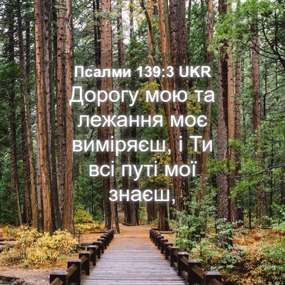 Picture 04 - Псалми 139:3 UKR - Дорогу мою та лежання моє - Bible Verse Picture