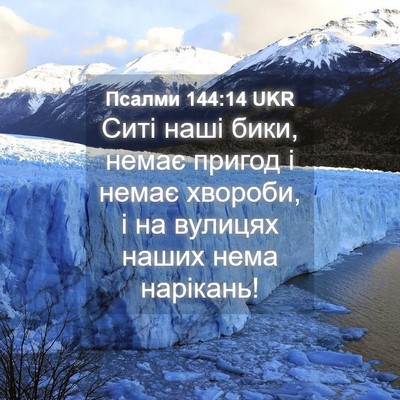 Picture 04 - Псалми 144:14 UKR - Ситі наші бики, немає - Bible Verse Picture
