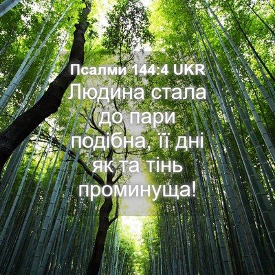 Picture 04 - Псалми 144:4 UKR - Людина стала до пари - Bible Verse Picture