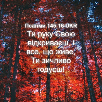 Picture 04 - Псалми 145:16 UKR - Ти руку Свою відкриваєш, і - Bible Verse Picture