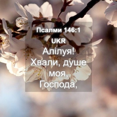 Picture 04 - Псалми 146:1 UKR - Алілуя! Хвали, душе моя, - Bible Verse Picture