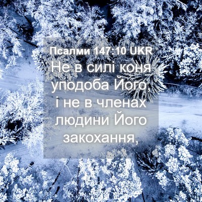 Picture 04 - Псалми 147:10 UKR - Не в силі коня уподоба - Bible Verse Picture
