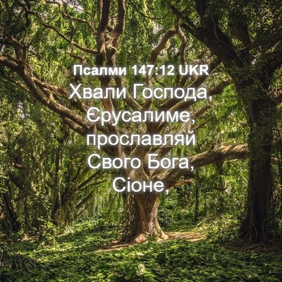 Picture 04 - Псалми 147:12 UKR - Хвали Господа, Єрусалиме, - Bible Verse Picture
