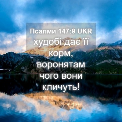 Picture 04 - Псалми 147:9 UKR - худобі дає її корм, - Bible Verse Picture