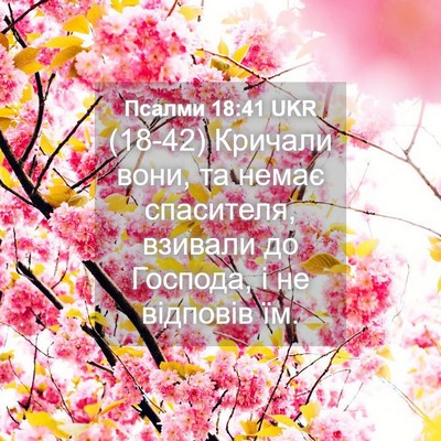 Picture 04 - Псалми 18:41 UKR - (18-42) Кричали вони, та немає - Bible Verse Picture