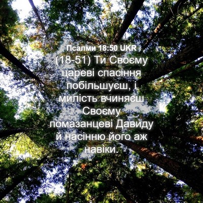 Picture 04 - Псалми 18:50 UKR - (18-51) Ти Своєму цареві - Bible Verse Picture