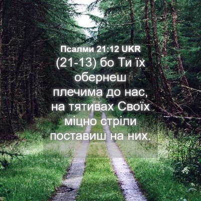 Picture 04 - Псалми 21:12 UKR - (21-13) бо Ти їх обернеш - Bible Verse Picture